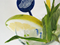 image17